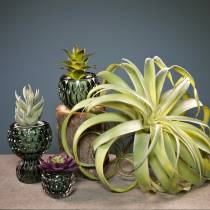 Tillandsia artificial para colar planta artificial verde claro 30cm