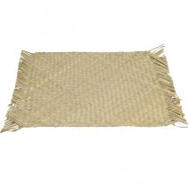 Itens Placemat erva marinha decoração de mesa retangular natureza jacinto de água 33 × 48cm