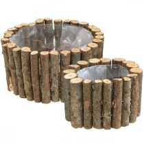 Taça para plantas redondo ramos de bétula natural Ø14/20cm conjunto de 2