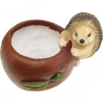 Itens Floreira, maçã com ouriço, decoração de outono, cachepot, cerâmica Ø16cm A22cm L33cm