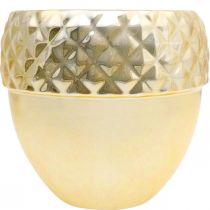 Itens Vaso de cerâmica, bolota dourada, decoração de Natal Ø18cm Alt.16,5cm