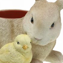 Decoração de Páscoa para plantar, coelho e pintinho, primavera, vaso de plantas A24cm L30cm