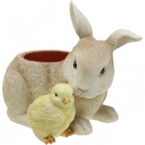 Decoração de Páscoa para plantar, coelho e pintinho, primavera, vaso de plantas A24cm L30cm