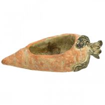 Itens Cenoura decorativa, decoração de concreto para plantio, Páscoa, vaso de cenoura, decoração de primavera L28cm