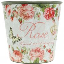 Itens Floreira, balde para plantar, floreira com rosa A13cm Ø13,5cm