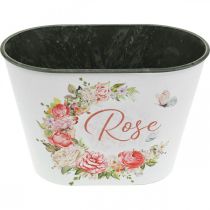 Itens Floreira, vaso decorativo rosas, floreira C19cm A12,5cm
