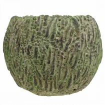 Itens Plantador concreto antigo verde, marrom plantador Ø13cm