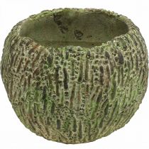 Itens Plantador concreto antigo verde, vaso marrom redondo Ø15.5cm