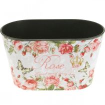 Itens Rosas em vaso para plantas, vaso decorativo, bandeja de flores 21,5 cm / 18,5 cm conjunto de 2