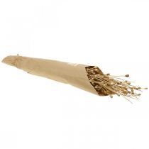 Itens Flores secas cápsulas de sementes de papoula natureza seca selvagem decoração seca bando 100g