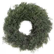 Itens Coroa de flores secas verde metálica decoração lepídio Ø33cm