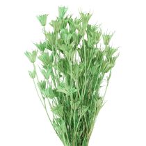 Itens Flores secas cominho preto nigela verde 50cm 100g