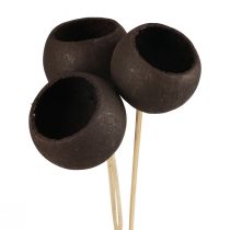 Itens Copos de sino decorativos de flores secas em haste preta 44 cm 3 unidades