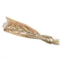 Itens Flores secas, decoração de painço, Setaria (painço-raposa), 60g
