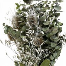 Bouquet de flores secas eucalipto buquê de cardos 45-55cm 100g