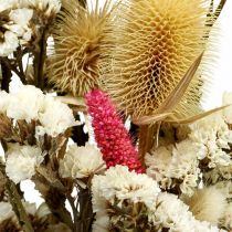 Ramo de flores secas Flores de palha Ramo de cardo 40–45cm