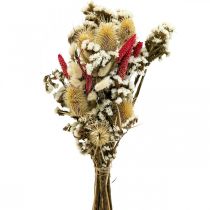 Ramo de flores secas Flores de palha Ramo de cardo 40–45cm