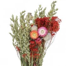 Ramo de flores secas Ramo de flores do prado Vermelho A50cm 150g