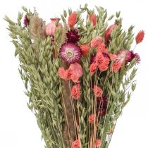 Itens Buquê de flores secas flores de palha cápsula de papoula Phalaris junça 55cm