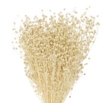 Itens Linho seco natural branqueado 50-55cm 180g