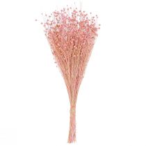 Itens Decoração de mesa com grama de linho seca rosa claro, 50-55 cm, 80 g.