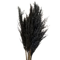 Itens Capim seco, junco, preto, 70 cm, tendência decorativa, 10 peças