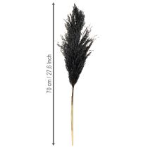 Itens Capim seco, junco, preto, 70 cm, tendência decorativa, 10 peças