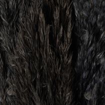 Itens Capim seco, junco, preto, 70 cm, tendência decorativa, 10 peças