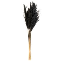 Itens Capim seco, junco, preto, 70 cm, tendência decorativa, 10 peças