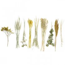 Itens Kit de flores secas amarelas para arranjos florais e coroas decorativas (60 cm) – Produto natural