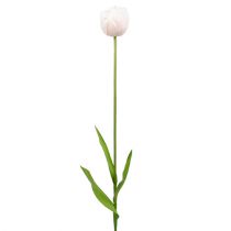 Tulipa branco-rosa 86cm 3pcs