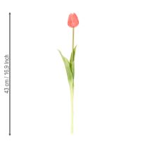 Itens Buquê de tulipas artificiais, colorido, decoração realista, alta qualidade para casa, 43 cm, 7 peças.