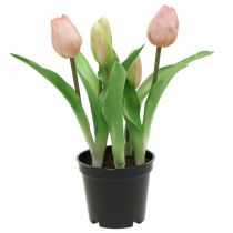 Tulipa rosa, verde em vaso Planta artificial em vaso Tulipa decorativa H23cm