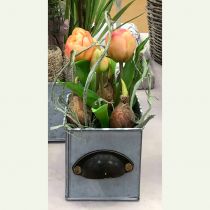 Itens Tulipa em pote Rosè Real-Touch 22,5cm