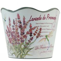 Itens Vaso de plástico para flores de lavanda Ø13,5cm Alt.12cm