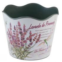 Itens Vaso de plástico para flores verão lavanda Ø16,5cm Alt.13,5cm