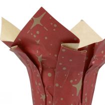 Itens Papel para plantador estrelas vermelho/antracite/natural Ø12cm Alt.12cm 9 peças