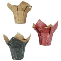 Papel para plantador estrelas vermelho/antracite/natural Ø9,5cm Alt.10cm 9 peças