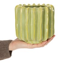 Itens Vaso em formato de cacto, ideal para dar um toque exótico à sua decoração, 16 cm