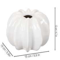 Itens Vaso de cerâmica em formato de abóbora, branco, para decoração de casa, 15 cm