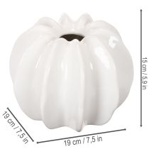 Itens Vaso decorativo em formato de abóbora, com acabamento brilhante, ideal para decoração de outono na sala de estar, 19 cm