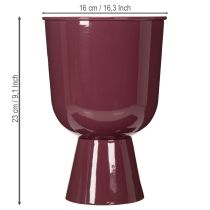 Itens Vaso de flores em formato de taça, estilo moderno, decorativo para qualquer casa ou escritório, 23 cm
