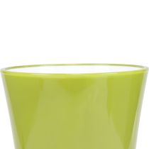 Itens Vaso Flor Verde Vaso Decorativo Oliva Efervescente Ø16,5cm H27cm