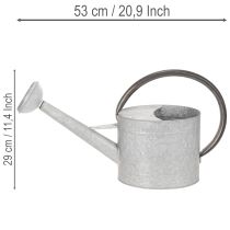 Itens Regador vintage de metal, cinza prateado, elegante peça de decoração para jardim, vaso de flores, 53 cm de comprimento x 29 cm de altura.