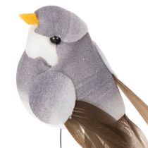 Itens Pássaros decorativos artificiais para decoração de casa, ideais para a primavera, com plumagem colorida feita de penas verdadeiras, 5 cm, 18 peças.