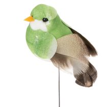 Itens Pássaros decorativos artificiais para decoração de casa, ideais para a primavera, com plumagem colorida feita de penas verdadeiras, 5 cm, 18 peças.