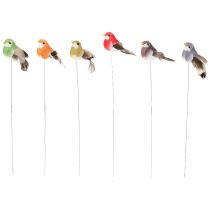 Itens Pássaros decorativos artificiais para decoração de casa, ideais para a primavera, com plumagem colorida feita de penas verdadeiras, 5 cm, 18 peças.