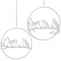 Mola para decoração de janelas em estilo pássaro, metal branco Ø12cm 4uds
