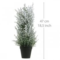 Itens Zimbro artificial em vaso planta artificial nevada H47cm