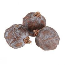Itens Cones de zimbro Zimbro sírio natural Ø1,5–2,5cm 1kg